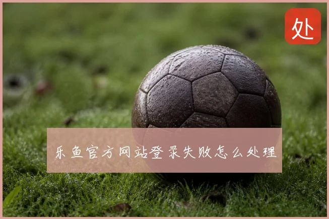 乐鱼官方网站登录失败怎么处理