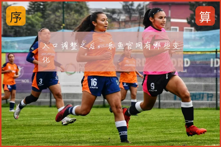 入口调整之后，乐鱼官网有哪些变化